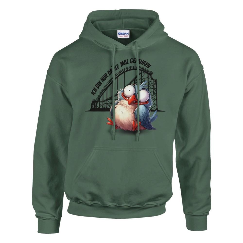 Achterbahn Hoodie, lustiger Pullover für Freizeitpark-Fans, Geschenkidee Achterbahn fahren, Ich bin nur drölf mal gefahren Pullover