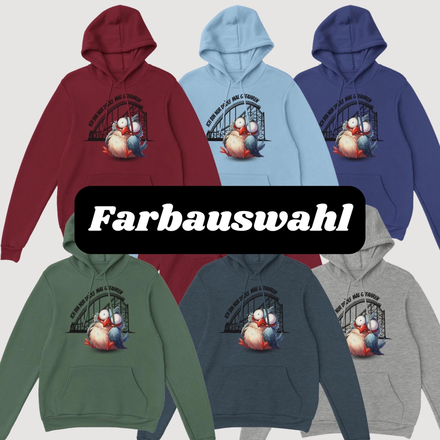 Achterbahn Hoodie, lustiger Pullover für Freizeitpark-Fans, Geschenkidee Achterbahn fahren, Ich bin nur drölf mal gefahren Pullover