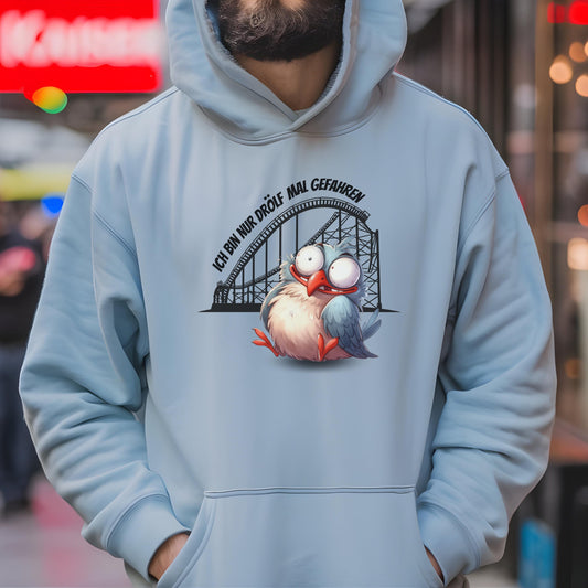 Achterbahn Hoodie, lustiger Pullover für Freizeitpark-Fans, Geschenkidee Achterbahn fahren, Ich bin nur drölf mal gefahren Pullover