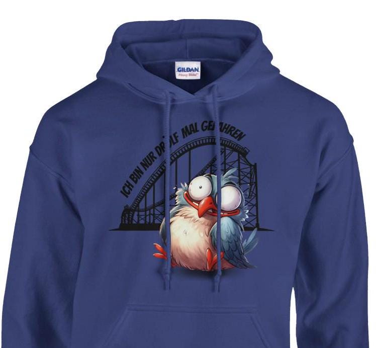 Achterbahn Hoodie, lustiger Pullover für Freizeitpark-Fans, Geschenkidee Achterbahn fahren, Ich bin nur drölf mal gefahren Pullover