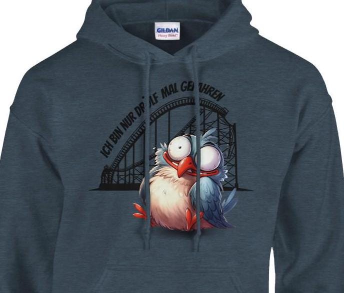 Achterbahn Hoodie, lustiger Pullover für Freizeitpark-Fans, Geschenkidee Achterbahn fahren, Ich bin nur drölf mal gefahren Pullover