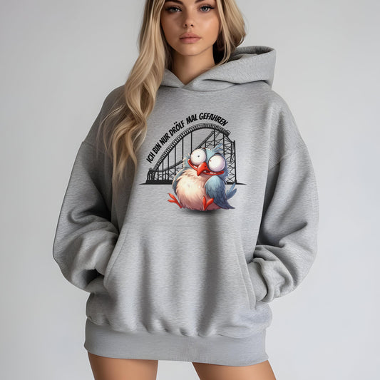 Achterbahn Hoodie, lustiger Pullover für Freizeitpark-Fans, Geschenkidee Achterbahn fahren, Ich bin nur drölf mal gefahren Pullover